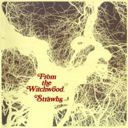 Strawbs : From the Witchwood